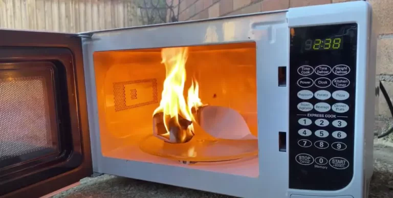 Can You Still Use A Microwave After It Catches On Fire?